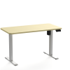 Modern Smart Ergonomic Electric Desk Sit-to-Stand up Lift with Height Adjustable Feature Convertible Work Computer Desk